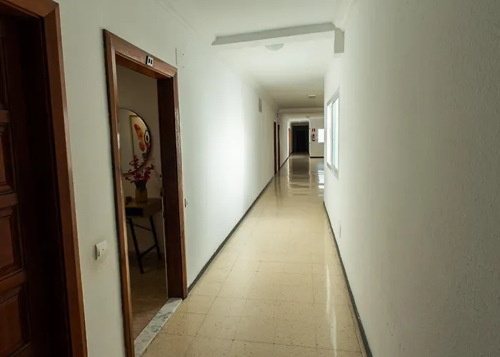 Hafida's Dream * 大加那利岛拉斯帕尔马斯