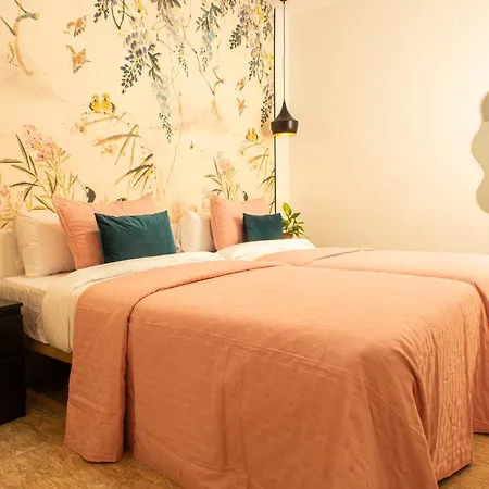 Nyaraló Hafida's Dream *